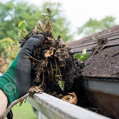 ¿Cómo preparar nuestros hogares para recibir el otoño de manera segura?