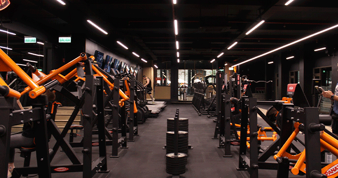 MindFit Advanced